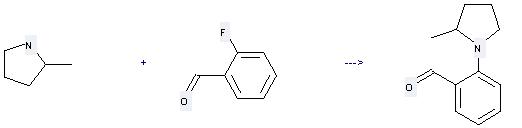 2-Methylpyrrolidine can be used to produce 2-(2-methylpyrrolidinyl)benzaldehyde at the temperature of 152 °C